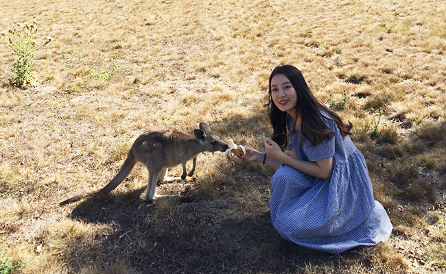캥거루2