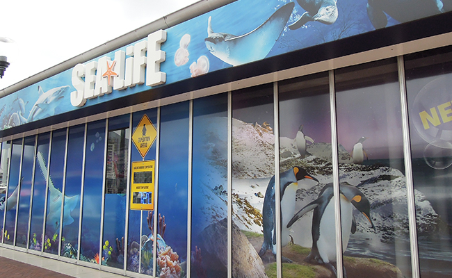시드니 아쿠아리움 Sea Life