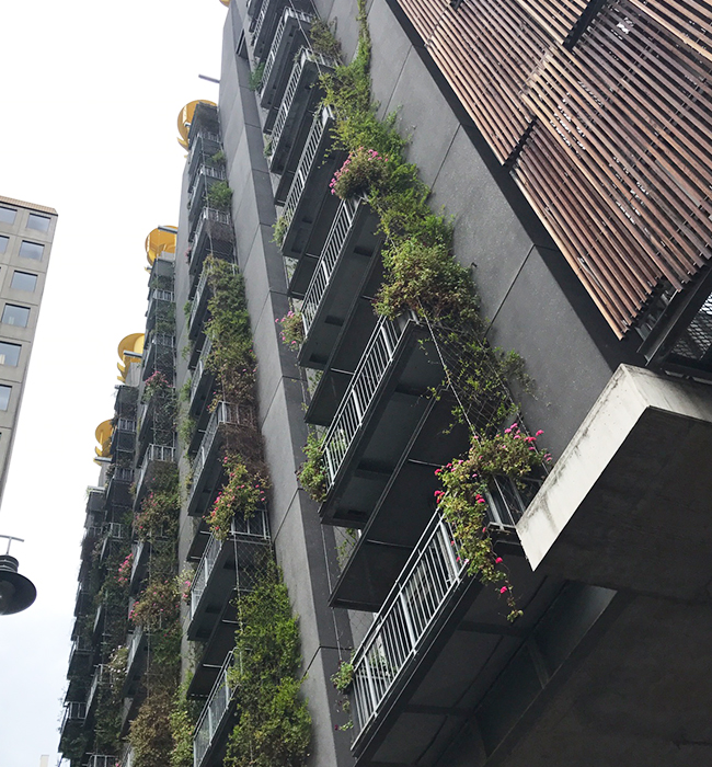 green facade