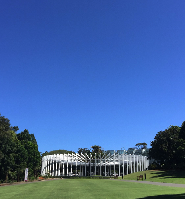 The Calyx