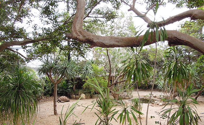 서식지를 옮겨 놓은 듯 울창한 우리1