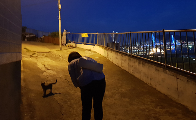 동항성당 고양이-동항성당 뒷길에서 만난 아기고양이: 우암동 골목골목마다 고양이가 한 마리씩 지키고 서 있다. 낯선 사람이 무서운지 근처를 배회하다가 자꾸만 스치니 정이 든다. 