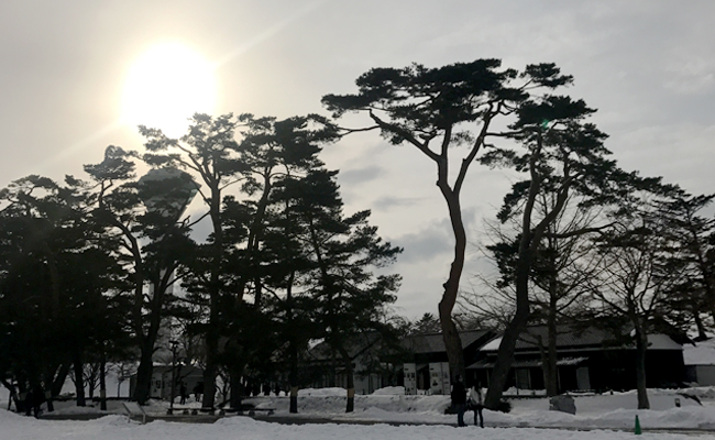 고료카쿠4