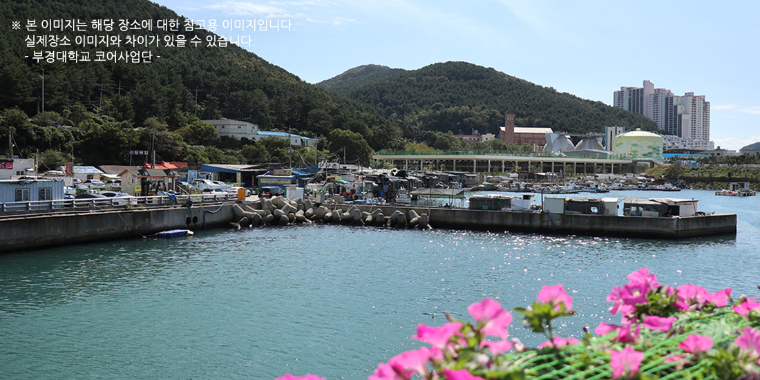 용호 어촌계