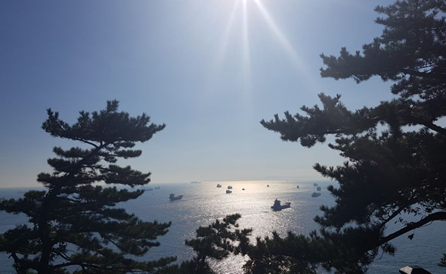 태종대 주변 전경