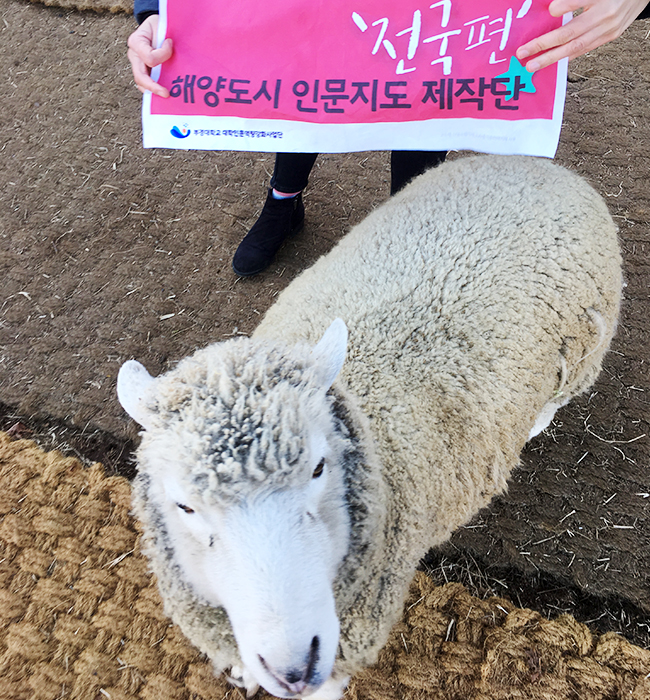 먹이로 유인해 얻어낸 양과의 한 컷 