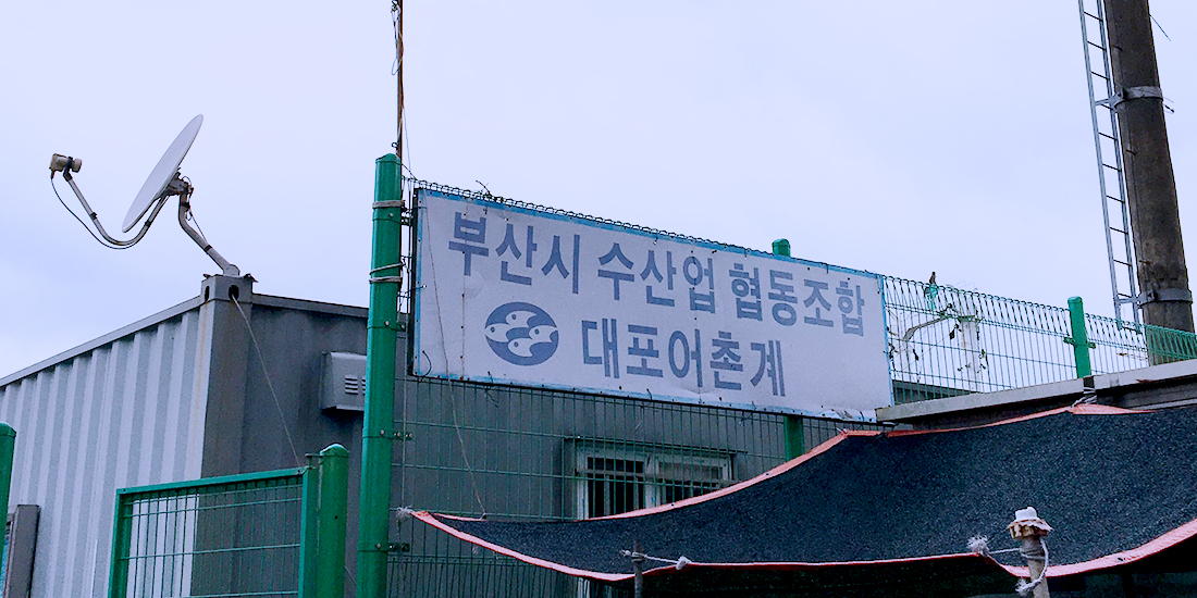 대포 어촌계