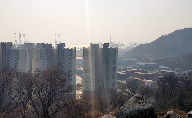 본성 천수각에서 바라본 간척지. 옛날에는 모두 바다였다.