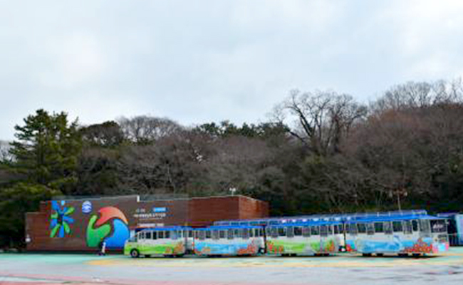 오동도 동백열차