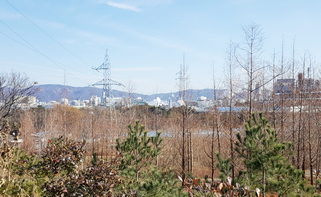 전망대에서 바라본 마을 주변 공업단지의 모습