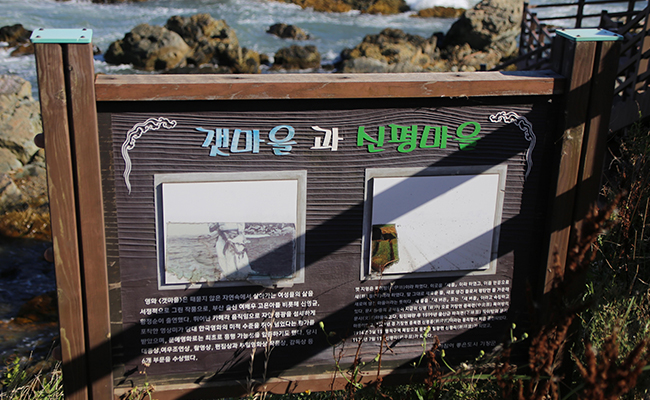 갯마을의 배경이 된 신평마을. 신평소공원에 팻말이 서있다.
