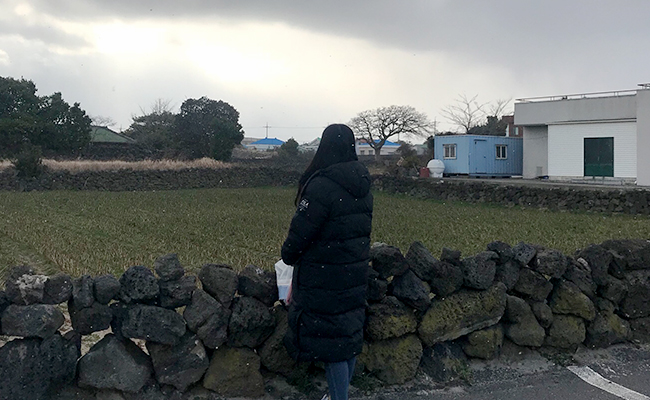 길옆의 밭