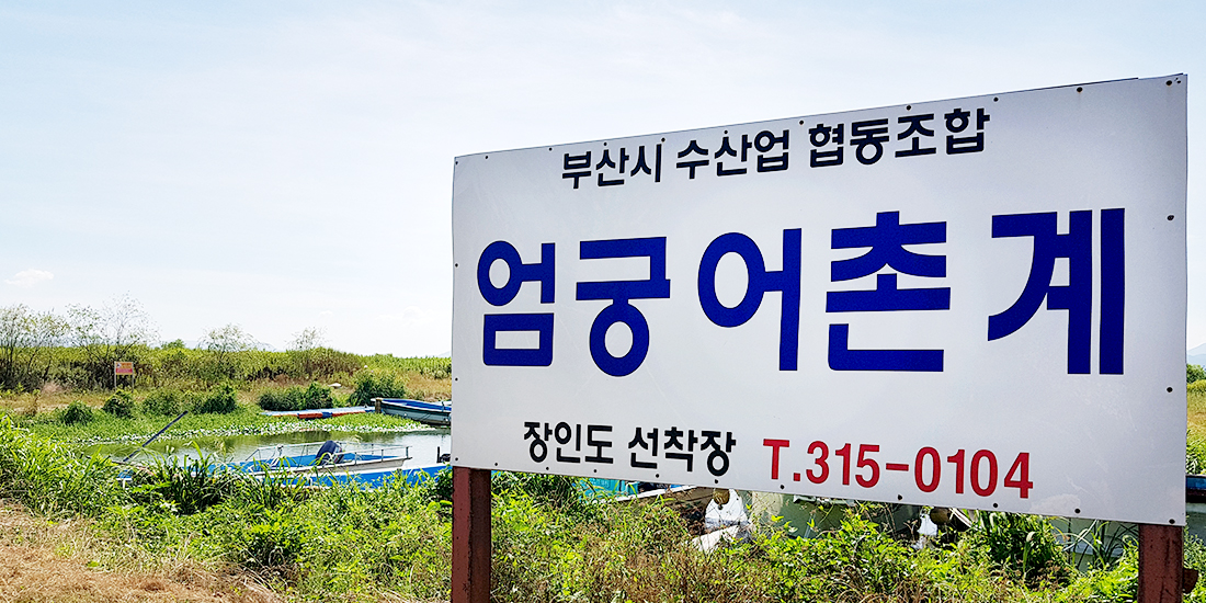 엄궁 어촌계