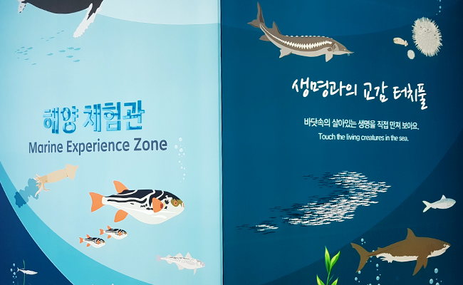 과메기 문화관 2층