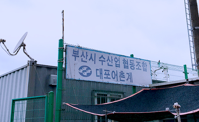 대포어촌계 수산업현동조합