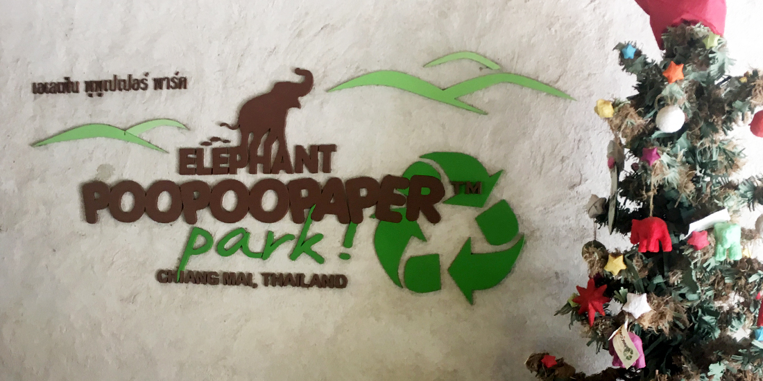 Elephant Poopoopaper park 대표사진