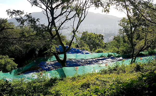 배산성지 2