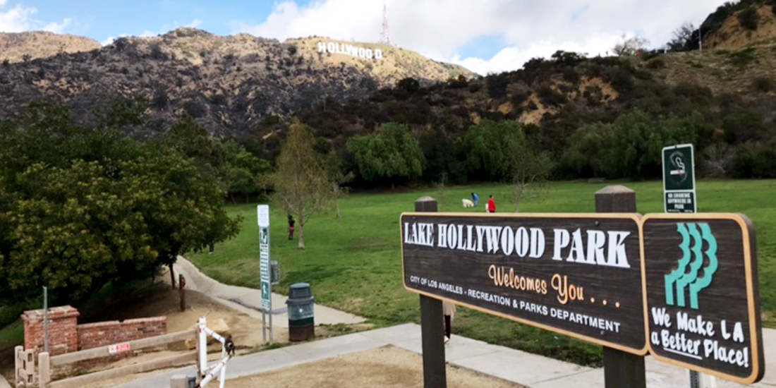 Hollywood 대표사진
