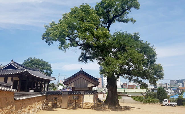 기장 기관청 5