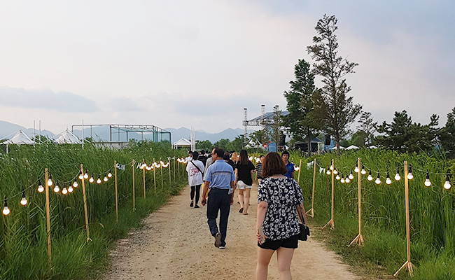 부산국제 록페스티발 전경 4