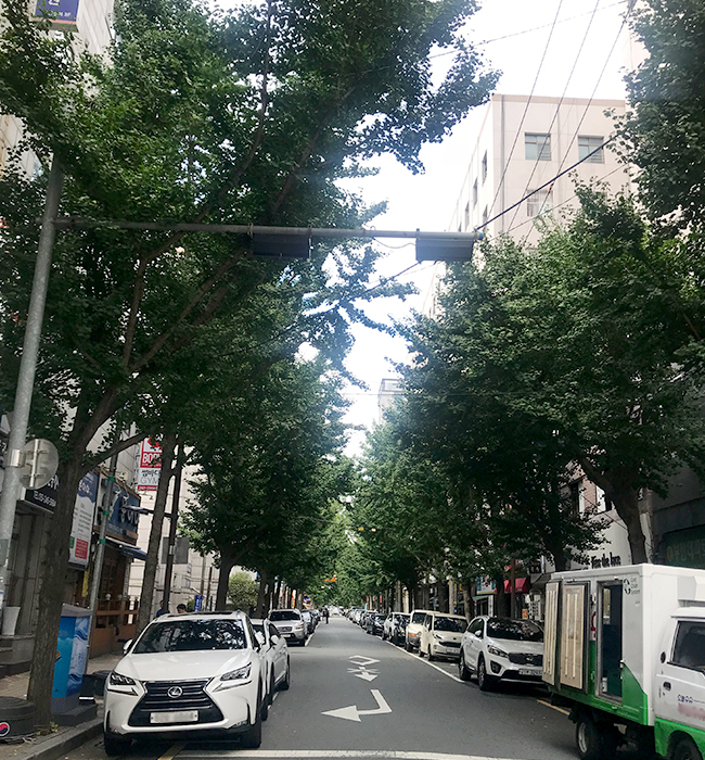 부산데파트 주변 도로모습