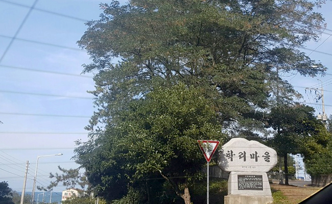 학리마을 입구 표지