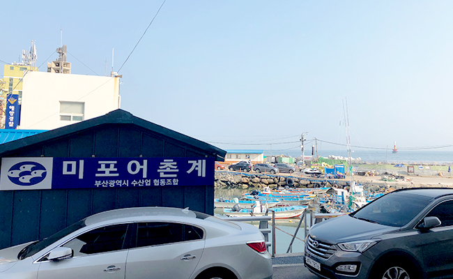 미포어촌계 3