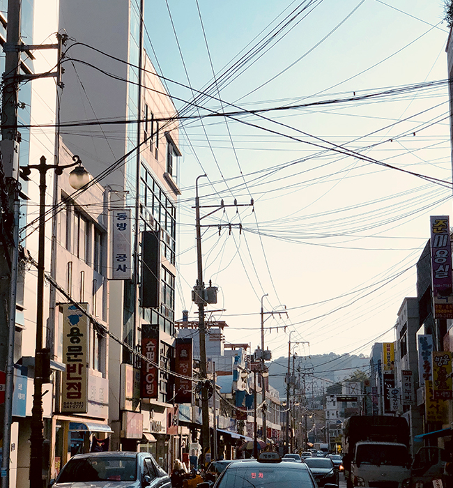 서호시장 풍경 2
