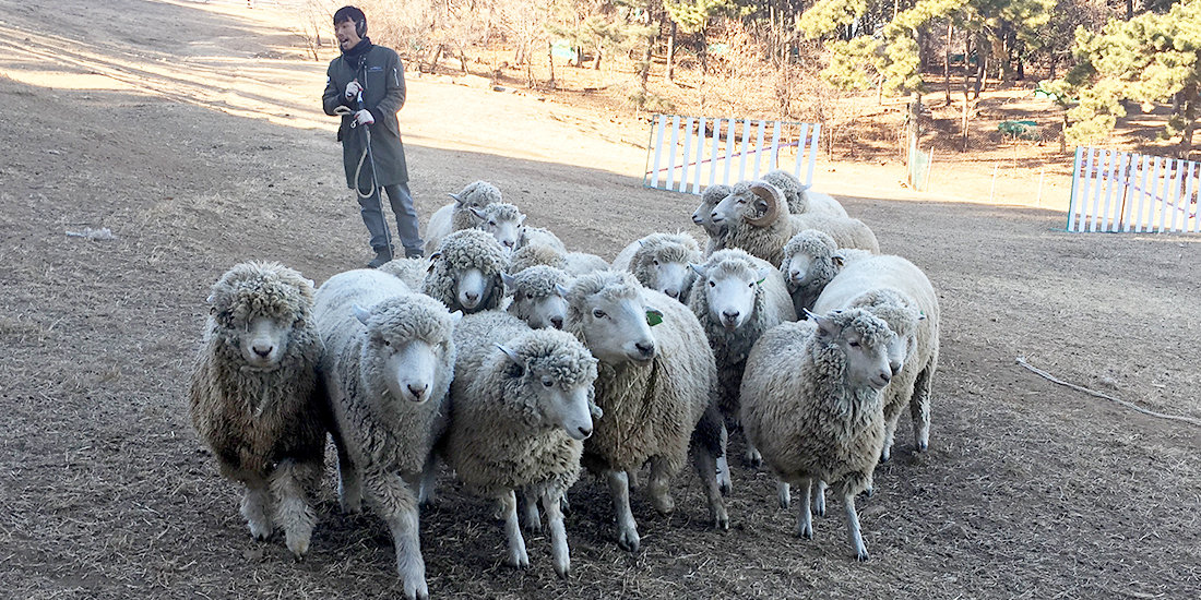 양모리학교 대표사진