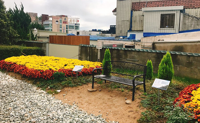 철길에 있는 꽃들과 풀