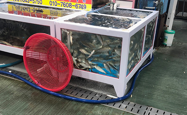 여수 수산시장 안의 모습 1