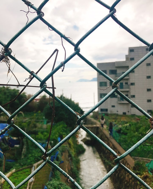 바다 전망1