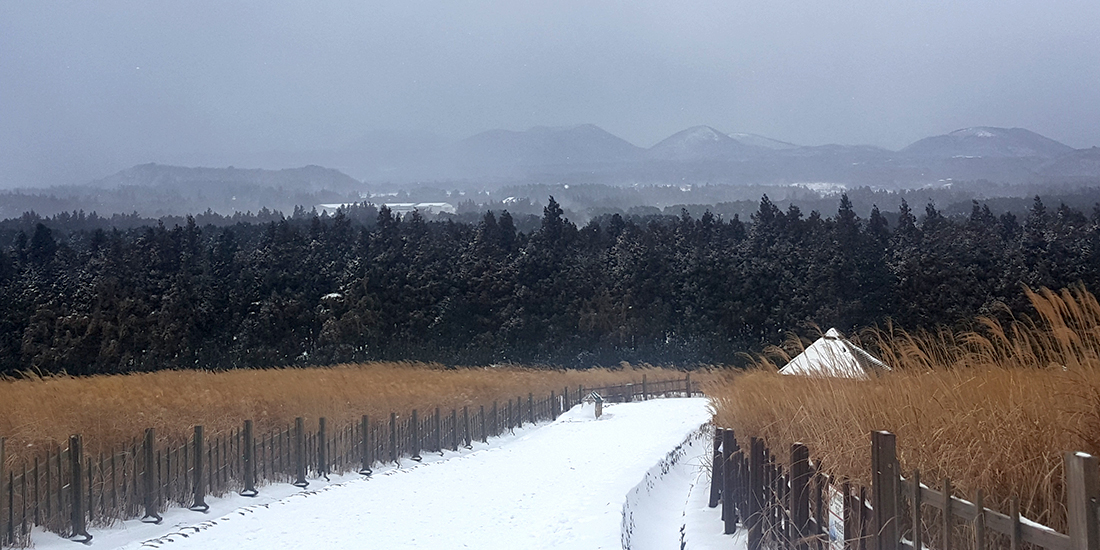 산굼부리 대표사진