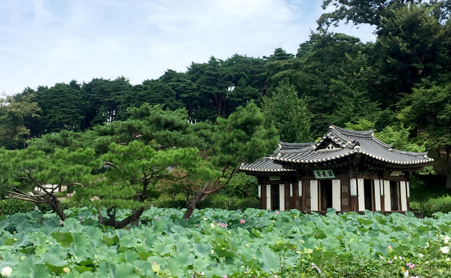 강릉 선교장 내 호수