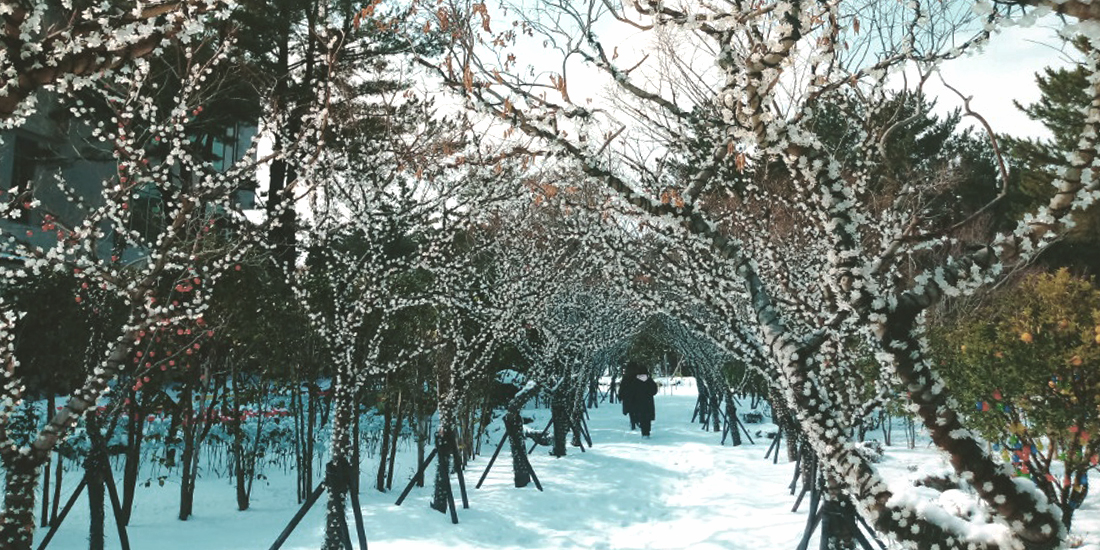 한라수목원 대표사진