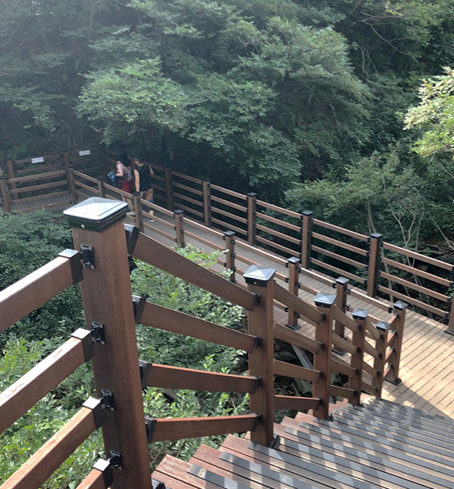 해안단구 쪽으로 내려가는 길