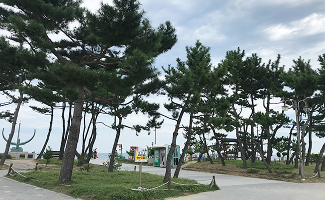 모래시계공원 전경 2