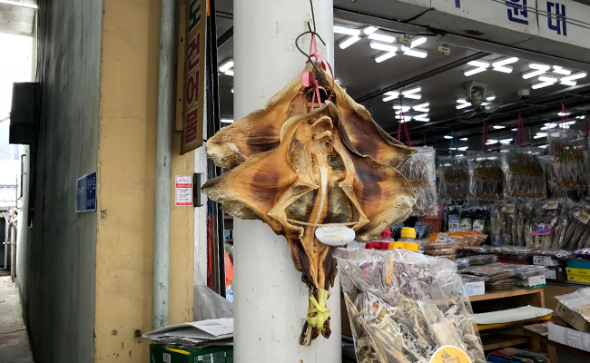 말린 가오리