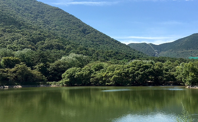 내수면 환경생태공원 산책로 2