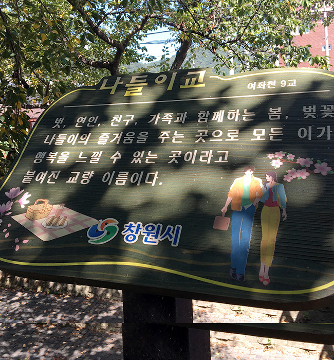9교 - 나들이교