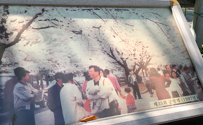 제 35회 군항제(1997년) 사진