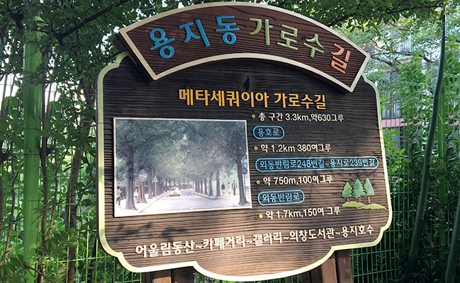 용지동 가로수길