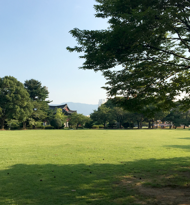 용지문화공원의 넓은 잔디밭