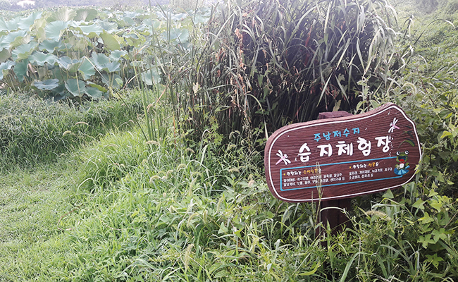 습지체험장 1