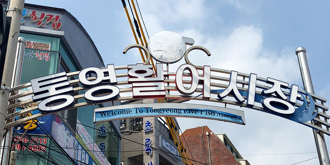 통영활어시장 대표사진