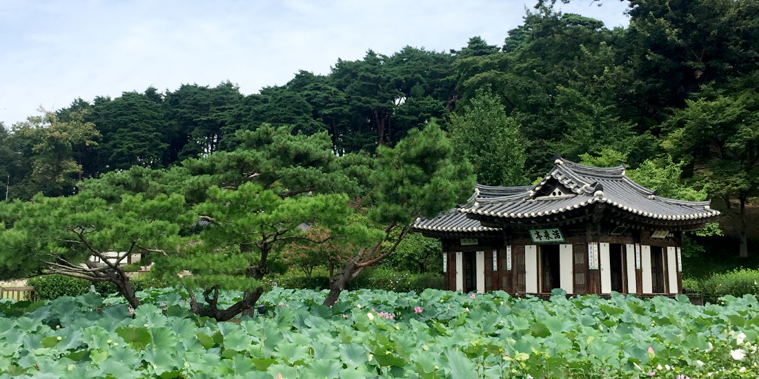 강릉 선교장 대표사진