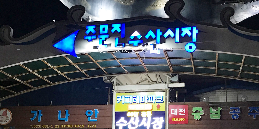 주문진 대표사진