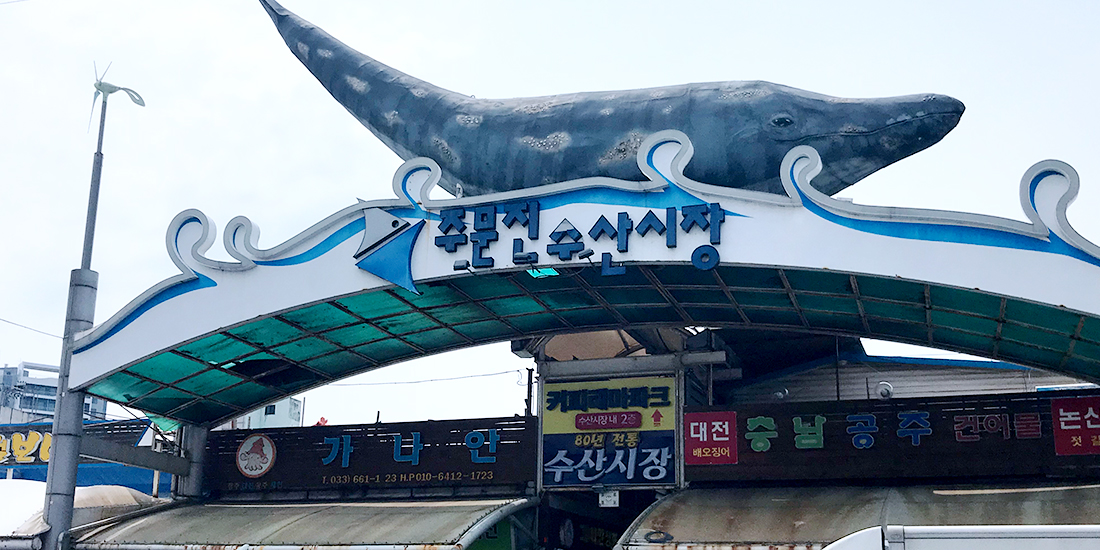 주문진 수산시장 대표사진