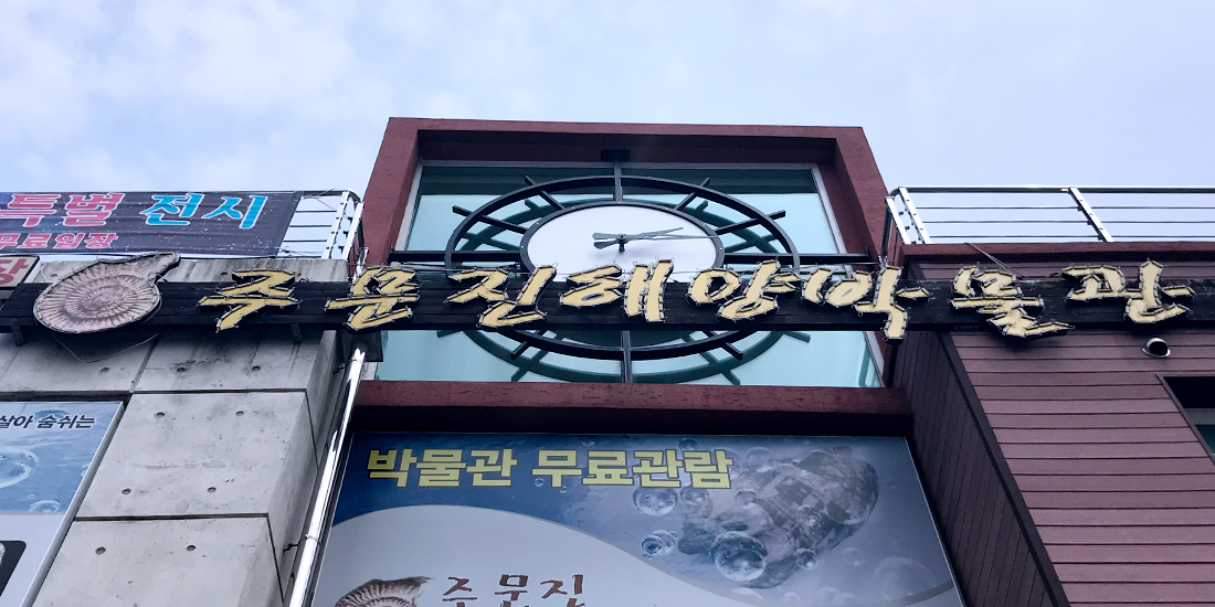 주문진 해양박물관 대표사진