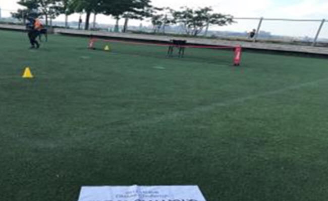 ③잔디 밭